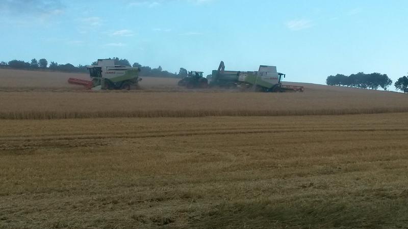 bilder/19_7_2003_2/lexion_+_fendt_824_2.jpg